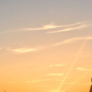 Meet your Posher, Luz